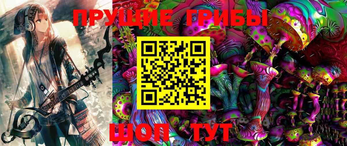 Галлюциногенные грибы MAGIC MUSHROOMS  Вход с VPN  Истра  Галлюциногенные грибы Psilocybine cubensis 